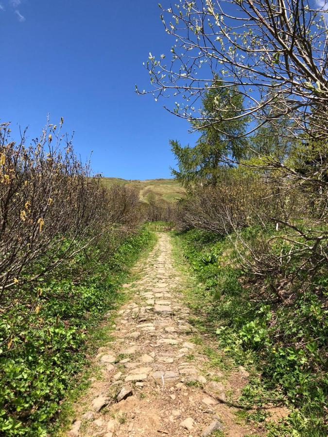 Cesa De Conesel Daire Colle Santa Lucia Dış mekan fotoğraf